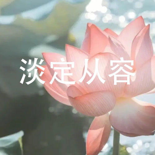 微信头像荷花并配字荷花头像带字佛系静心