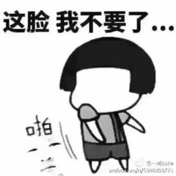 周末说请用一个表情包形容你的专业