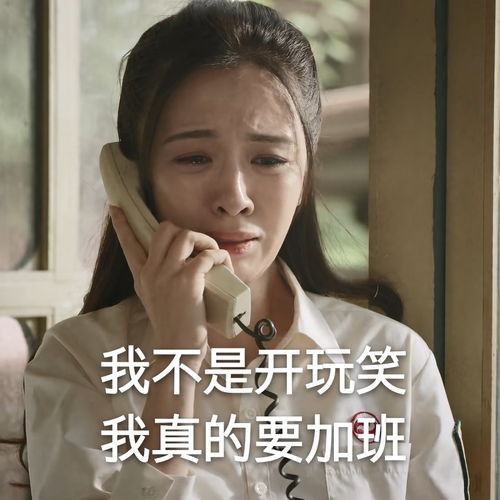 王晓晨在线提问什么是打工人收获自己表情包太实用