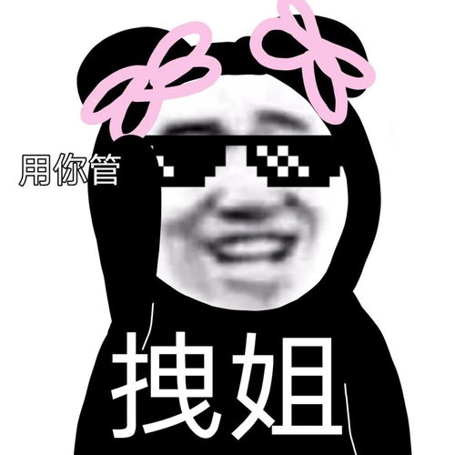 沙雕搞笑熊猫头表情包在吗姐姐