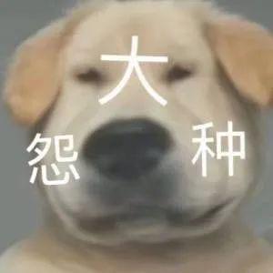 交往三年拒绝让我见父母淦不分手留着过年吗