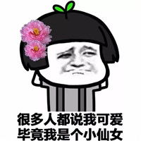 小仙女势力表情图片小仙女势力表情包下载飞翔下载