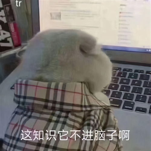 如何维持孩子上网课的专注力华为鸿蒙眼手并用才上心