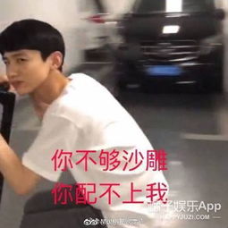 把偶像包袱都吃了的他们,真是我们的快落源泉啊