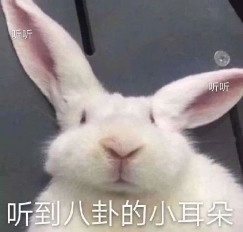 抖音表情包图片大全丨你成功让我心动
