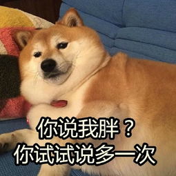 你说我胖试试表情包高清无水印你说我胖试试表情包下载v1.0.1最新版腾牛下载