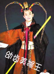 新红楼梦演员定妆照遭网友恶搞