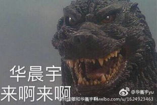 华晨宇搞笑表情包
