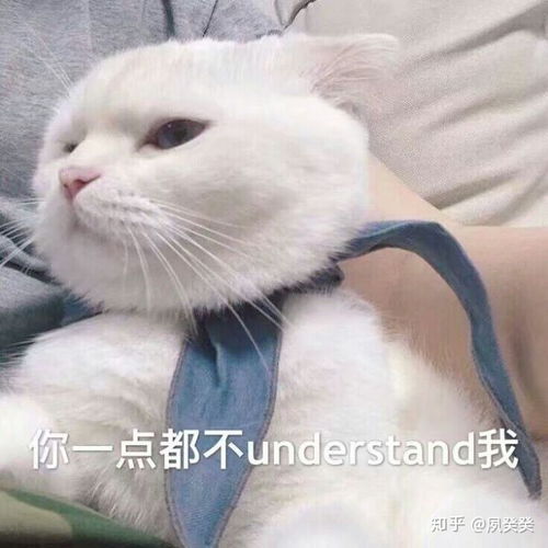 誓言指什么样的话