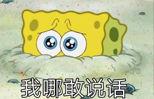 趣味拼音缩写