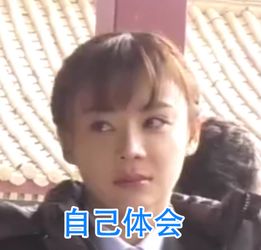 手机里袁姗姗表情包