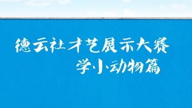 尚九熙模仿小企鹅表情包,自黑弱智太好笑