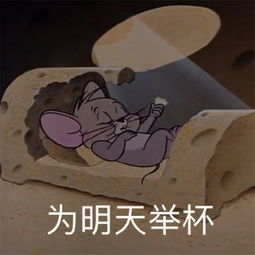 猫和老鼠系列热门爆笑表情包我来啦嗝腾讯网qq.com