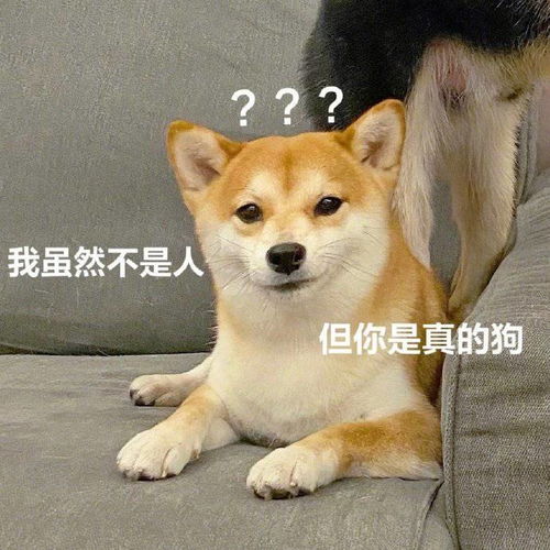 表情包害真晦气