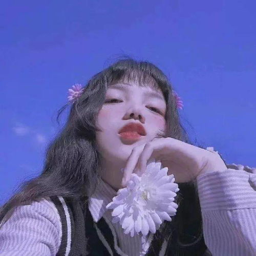 搜狐网