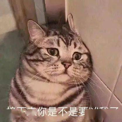 来一组沙雕表情包