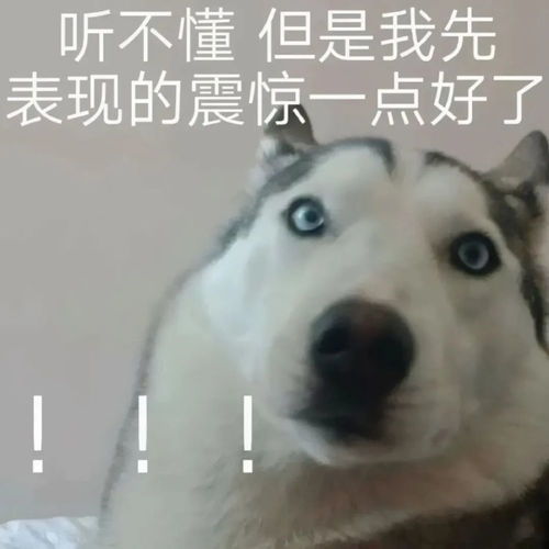 表情包分享没有表情包怎么走近你