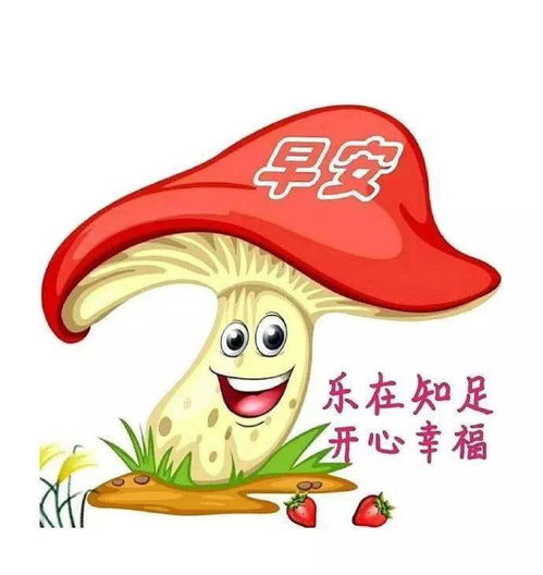 微信新版漂亮早上好美图带字集锦微信早晨问候大家暖心祝福语