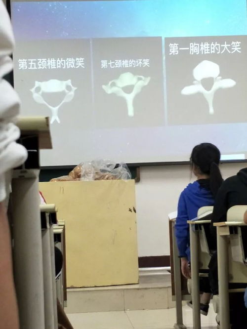 第1041期