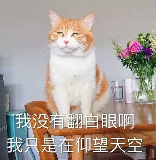 团魂老师说那是傻子才会信的东西