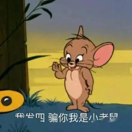 跟你超配的沙雕表情包