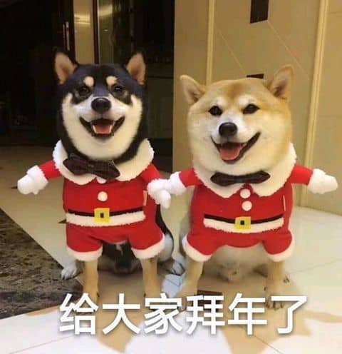 推荐一波中国春节要红包好玩的表情包