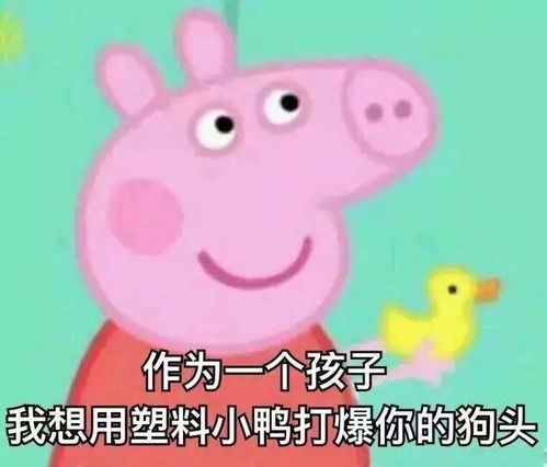 比起演戏,郑爽更适合上综艺