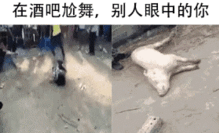 搞笑表情包敢不敢发给你的女朋友