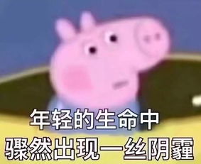 还不保护他们,他们可能变得比熊猫还要珍贵