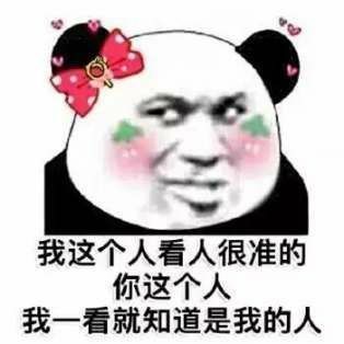 有没有小熊猫的表情包