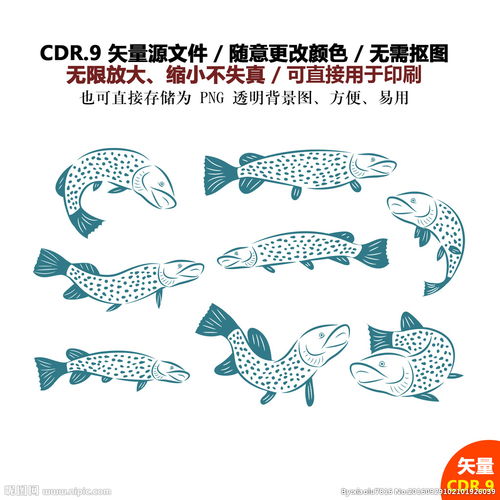 手绘卡通动物鱼金鱼图标图片