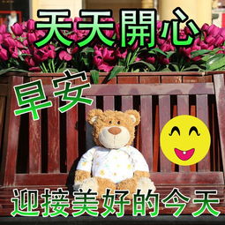 2019最新版早上好微信图片表情祝福语,早晨好温馨问候表情图