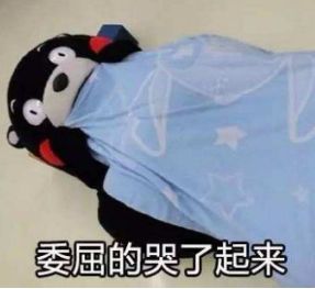 元旦红包丨告别2017,许愿2018