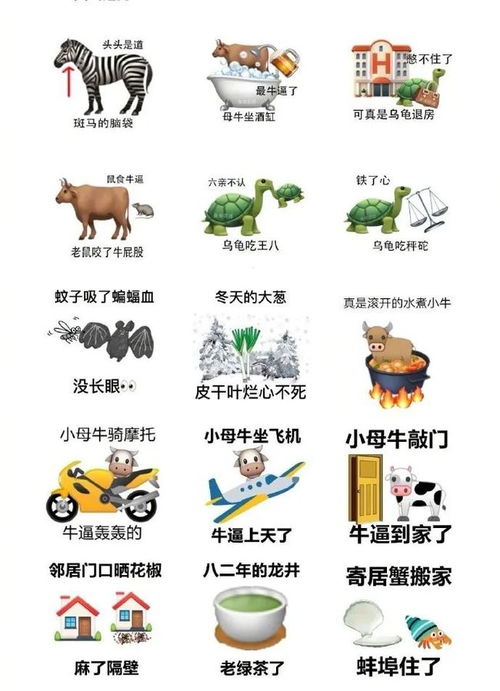 网上热门歇后语表情包大全每一个都这么好笑哈哈哈哈