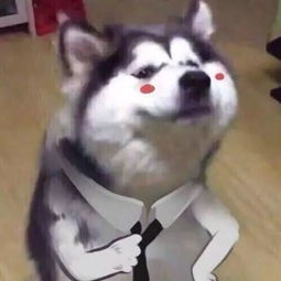 秋招宣讲会你该不该去
