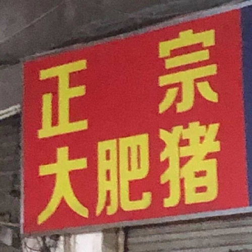 有哪些日常好玩的沙雕表情包