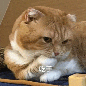 月收入前10的本科专业公布你上榜了吗