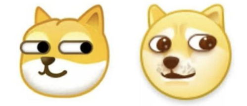 柴犬kabosu去世那些发狗头表情的人,他们在说什么