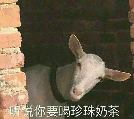 你会和直男交往吗他们的脑回路不一般网友又爱又气,已笑喷