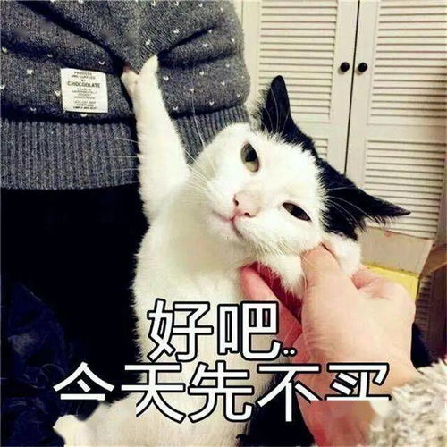 10068元日照21年最新房价出炉
