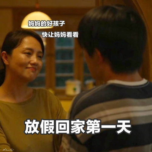 易烊千玺当代青年放假回家图鉴表情包合集,可可爱爱的烊宝来了