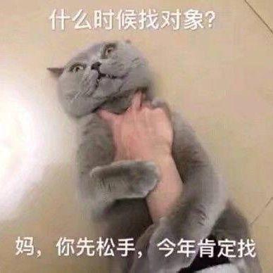 搞笑女表情包沙雕女孩子