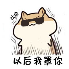 仓鼠掉瓜子高清系列微信qq表情包