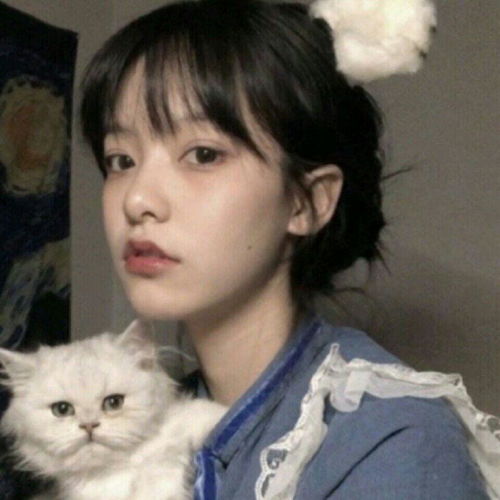有没有这样类似女子抱着猫的头像