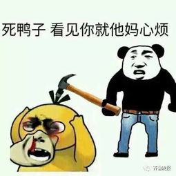 哈哈哈可达鸭要钱表情包火了终于成功掌握了跟微信好友要红包的正确姿势