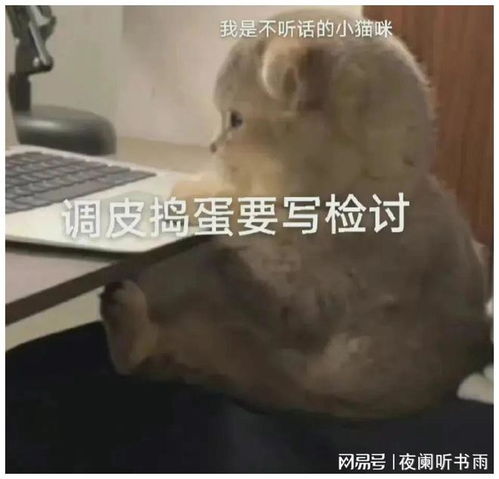 聊天必备表情包332可爱搞怪沙雕表情包