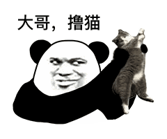 表情反正她都不难受,她只要自由表情