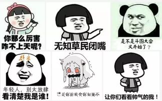 00后的社交江湖少年,快出来斗图