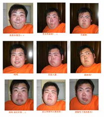 小胖出新招举办比赛恶搞自己