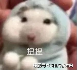 本科专业薪酬排行榜出来了,河北专接本有哪些专业上榜了